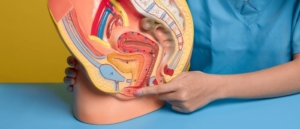 Labiaplasty FAQs
