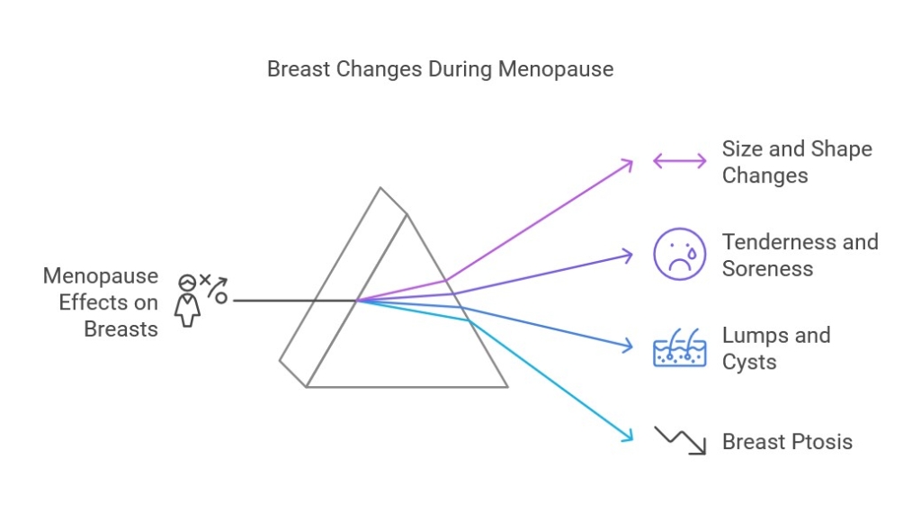 Breast changes during menopause