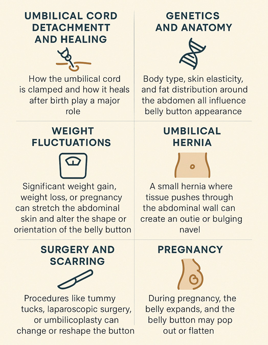 What Are the Different Belly Button Shapes blog Infographic by Miss Anca Breahna Chester UK