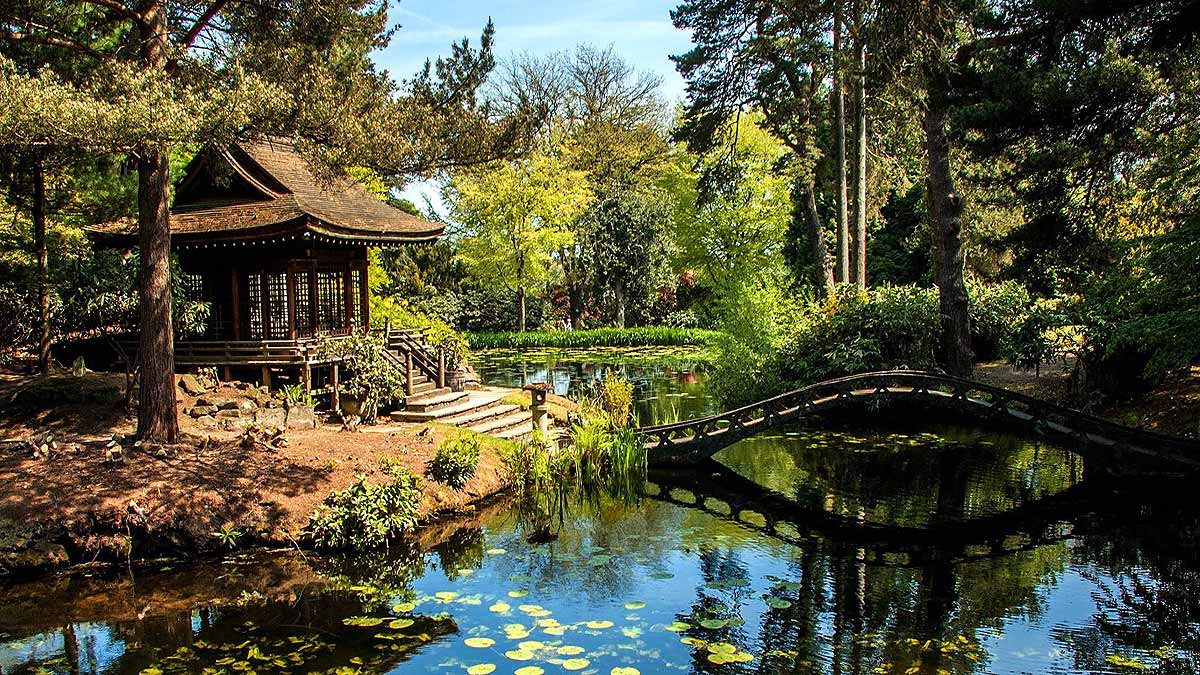 Tatton Park - Anca Location Page